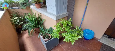 Appartamento in vendita a Treviso, Monigo,... - foto 4