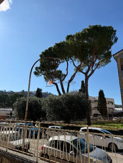 Appartamento in vendita ad Ascoli Piceno - foto 3