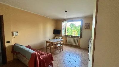 Appartamento in vendita a Poviglio - foto 4