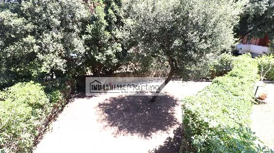 Appartamento in vendita a Anzio - foto 2