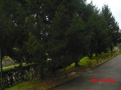 Appartamento in vendita a Cesana Brianza - foto 8