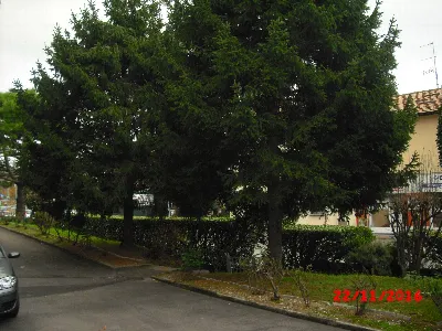 Appartamento in vendita a Cesana Brianza - foto 9