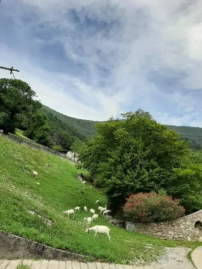 Appartamento in vendita a Viadanica - foto 2