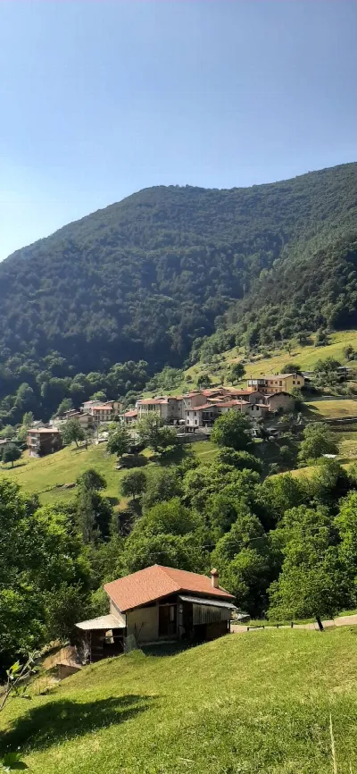 Appartamento in vendita a Viadanica - foto 7