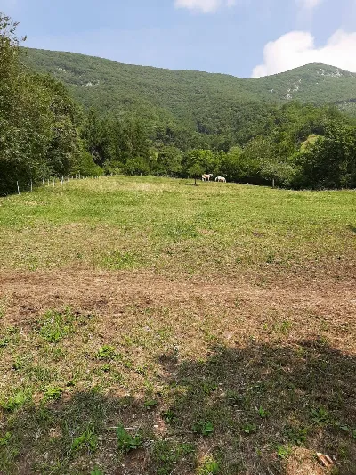 Appartamento in vendita a Viadanica - foto 8