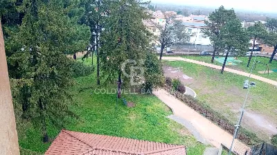 Appartamento in vendita a Bassano Romano - foto 7