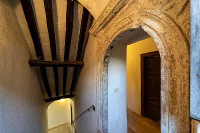 Appartamento in vendita a Capalbio - foto 3