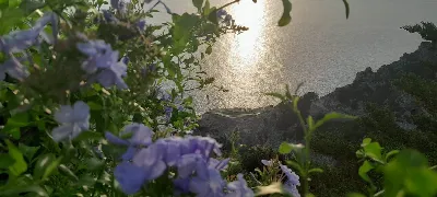 Appartamento in vendita a Monte Argentario - foto 9