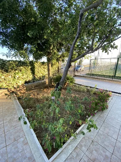 Appartamento in vendita a Monte Sant'Angel... - foto 10