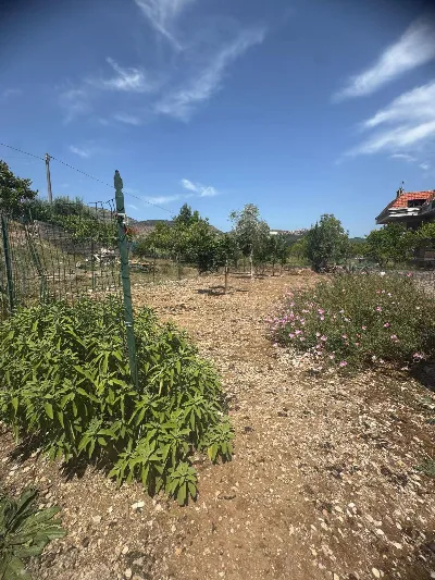 Appartamento in vendita a Castelforte - foto 5