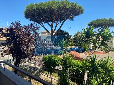 Appartamento in vendita a Nettuno - foto 5