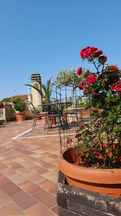 Appartamento in vendita a Civitanova March... - foto 6