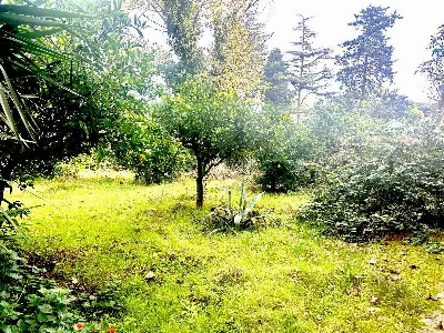 Appartamento in vendita a Fondi - foto 7