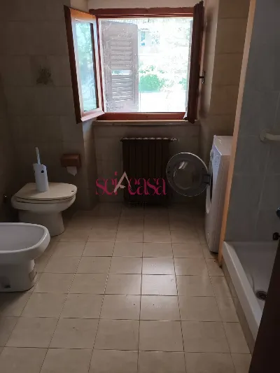 Appartamento in vendita a Campagnatico - foto 4