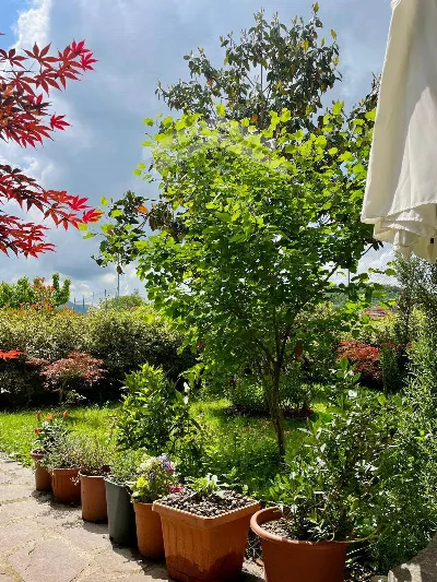Appartamento in vendita a San Massimo - foto 8