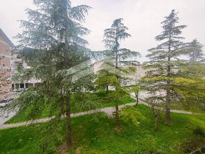 Appartamento in vendita a Campobasso - foto 7