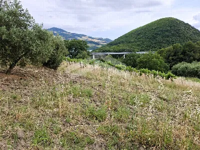 Appartamento in vendita a Guardialfiera - foto 10