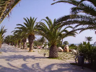 Appartamento in vendita a San Benedetto de... - foto 1