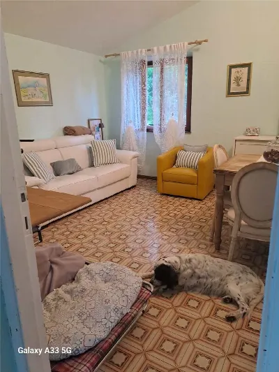 Appartamento in vendita a Rio nell'Elba - foto 6