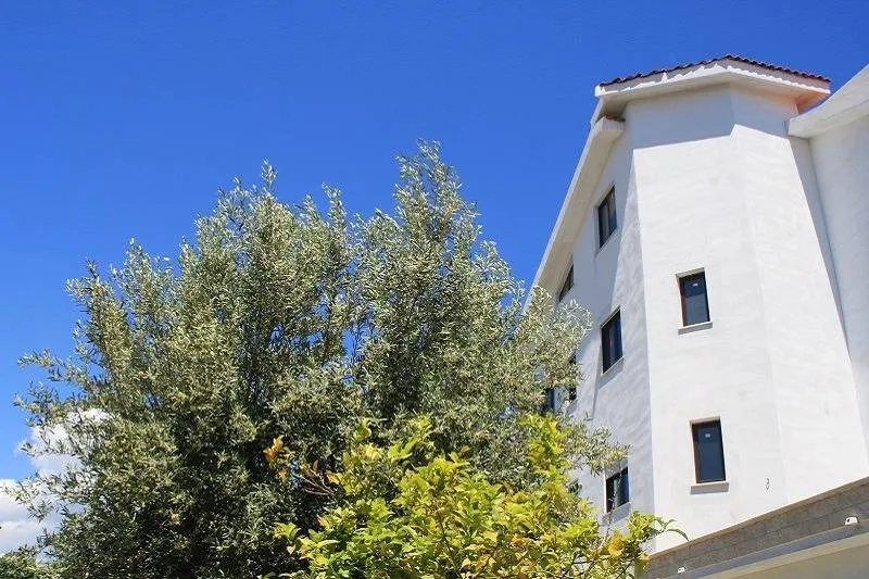 Appartamento in vendita a Roseto Capo Spulico - foto 2