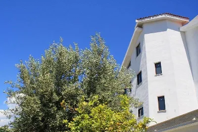 Appartamento in vendita a Roseto Capo Spul... - foto 2