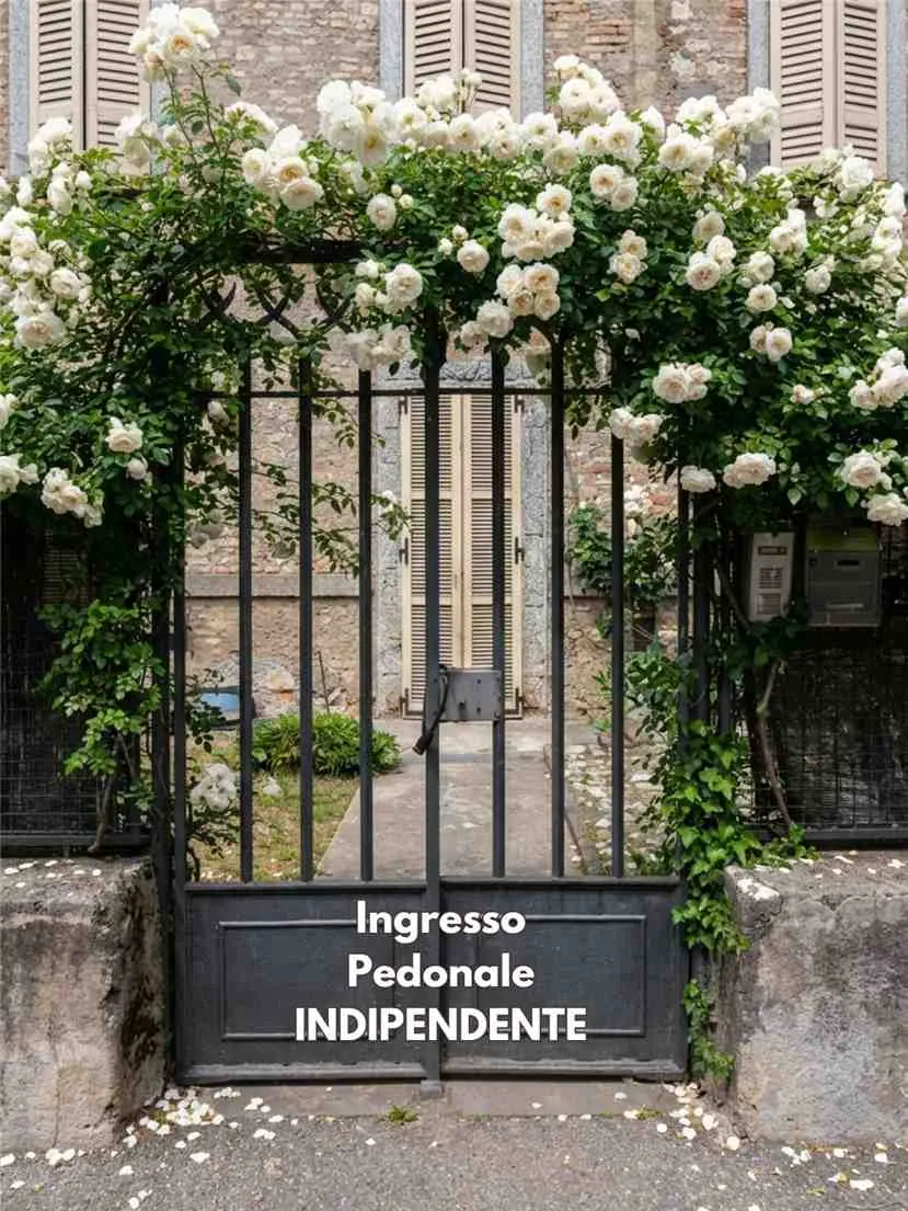 Appartamento in vendita a Coccaglio - foto 4