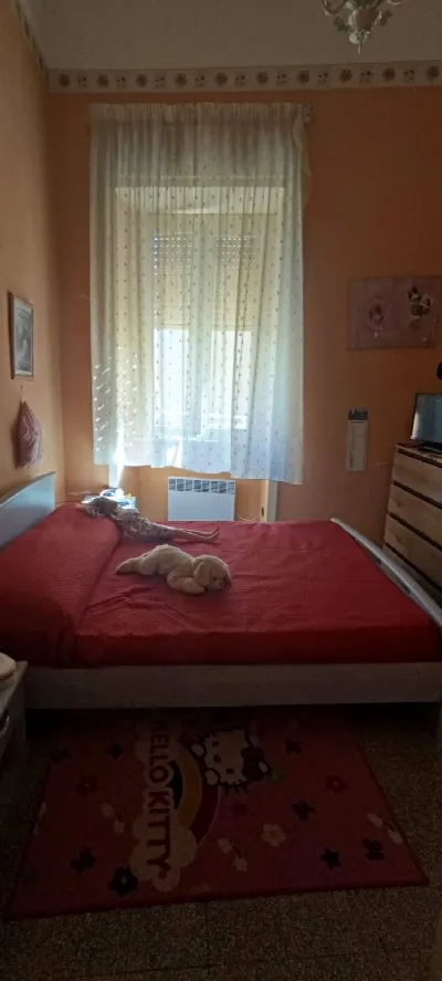 Appartamento in vendita a Pontecorvo - foto 9