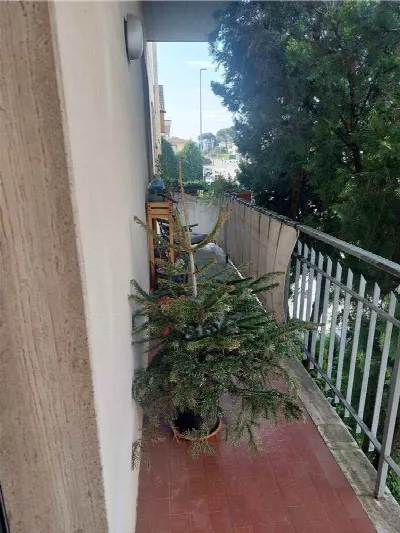 Appartamento in vendita a Poggio a Caiano - foto 7