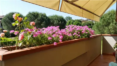Appartamento a Poggio a Caiano
