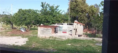 Appartamento in vendita a Sannicandro Garg... - foto 2