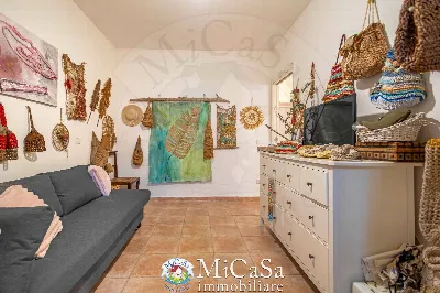 Appartamento in vendita a Pisa, Marina Di ... - foto 7