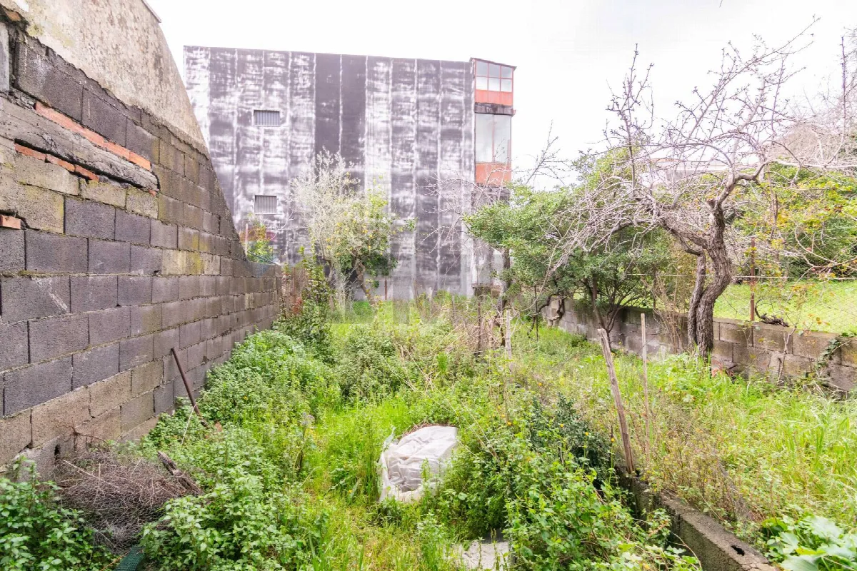 Appartamento in vendita a Zafferana Etnea - foto 3