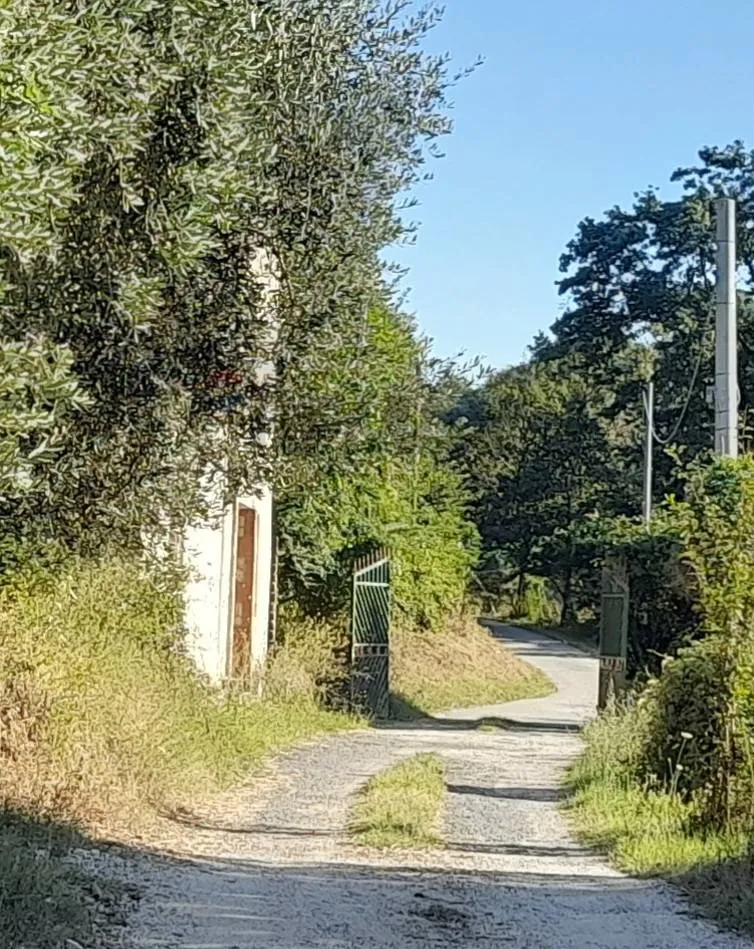 Appartamento in vendita a Nazzano - foto 3
