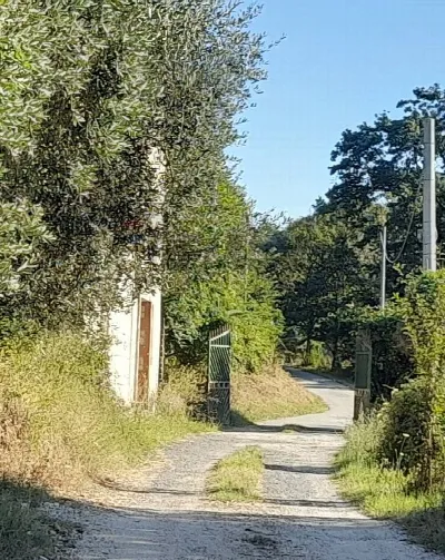 Appartamento in vendita a Nazzano - foto 3