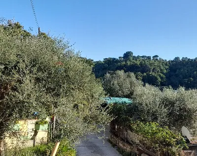 Appartamento in vendita a Nazzano - foto 8