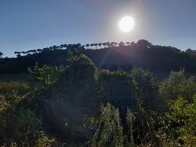 Appartamento in vendita a Nazzano - foto 9