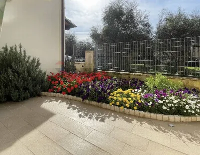 Appartamento in vendita a Seravezza - foto 6
