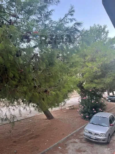 Appartamento in vendita a Manfredonia - foto 3