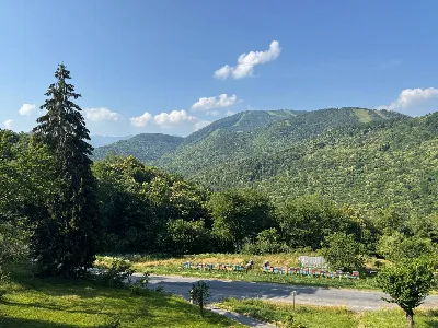 Appartamento in vendita a Roburent - foto 6