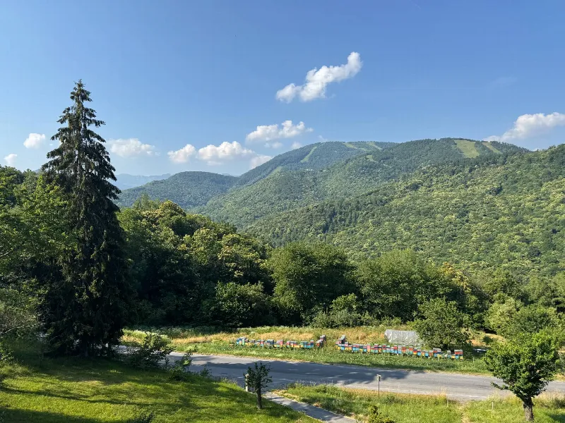 Appartamento in vendita a Roburent - foto 6