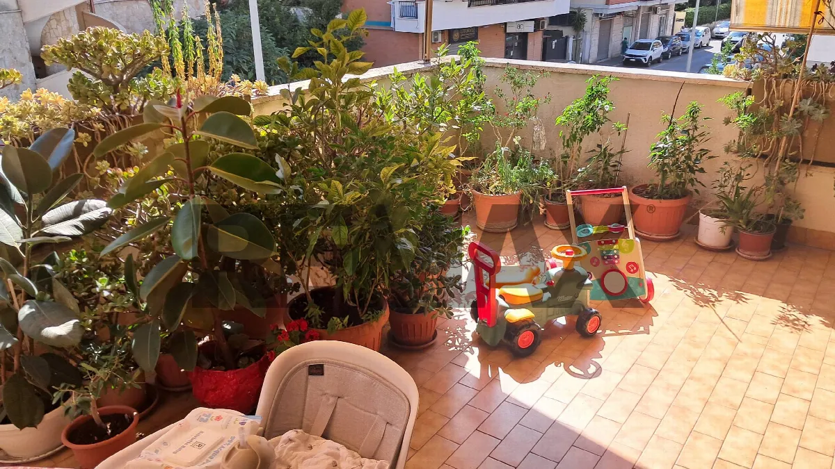 Attico in vendita a Ladispoli - foto 4