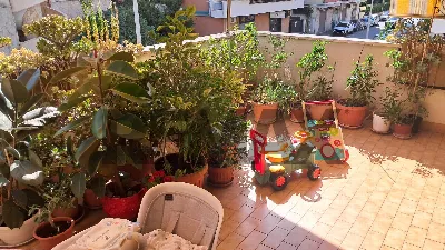 Attico in vendita a Ladispoli - foto 4