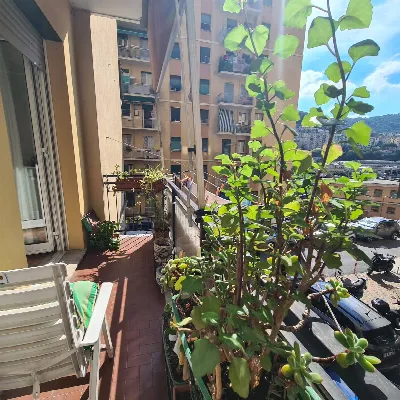 Appartamento in vendita a Genova, Molassan... - foto 3