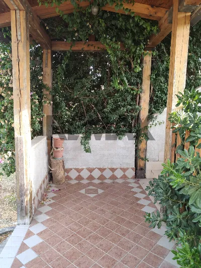 Rustico/Casale in vendita a Loreto Aprutin... - foto 4