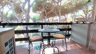 Appartamento in vendita a Grosseto - foto 5