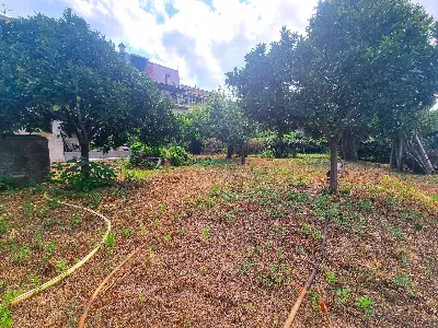 Appartamento in vendita a Calice Ligure - foto 6