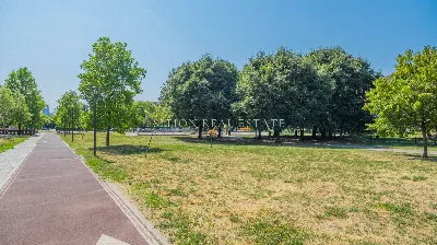 Appartamento in vendita a Milano, Viale ce... - foto 5