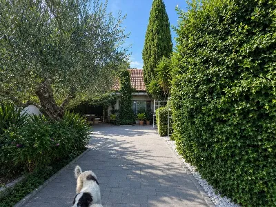 Villa in vendita a Mentana - foto 9
