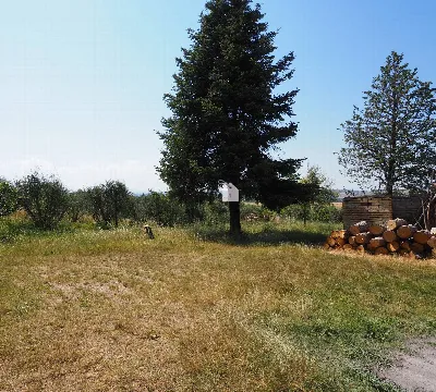 Rustico/Casale in vendita a Corridonia - foto 5