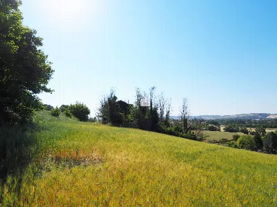 Rustico/Casale in vendita a Corridonia - foto 1
